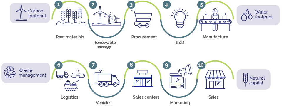 Our value chain